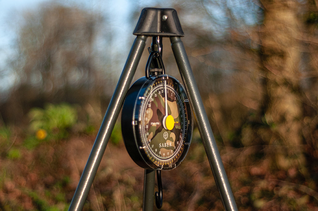 Saber DPM Scales 60lb