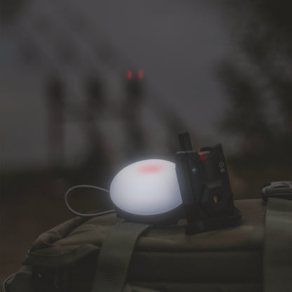 Saber S5 3+1 Bite Alarm set inc Bivvy Light
